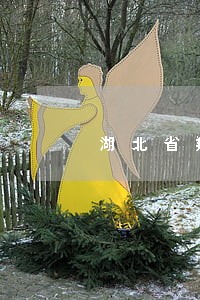 湖北省翔助法律咨询 湖北省翔助法律咨询