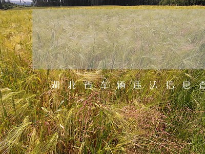 湖北省车辆违法信息查询 湖北省车辆违法信息查询