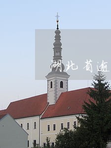 湖北省逾期办证的违约责任 湖北省逾期办证的违约责任