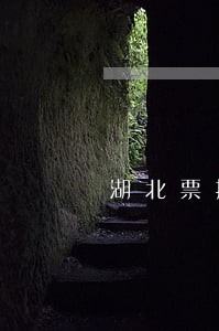 湖北票据逾期付款事务所 湖北票据逾期付款事务所