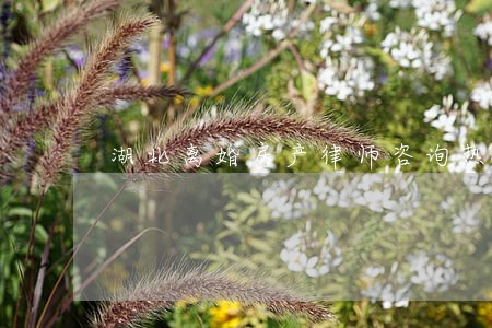 湖北离婚房产律师咨询热线 湖北离婚房产律师咨询热线