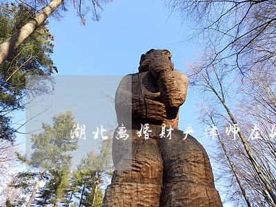 湖北离婚财产律师在线 湖北离婚财产律师在线
