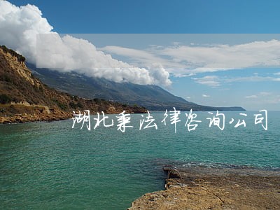 湖北秉法律咨询公司 湖北秉法律咨询公司