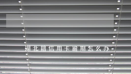 湖北籍信用卡逾期怎么办