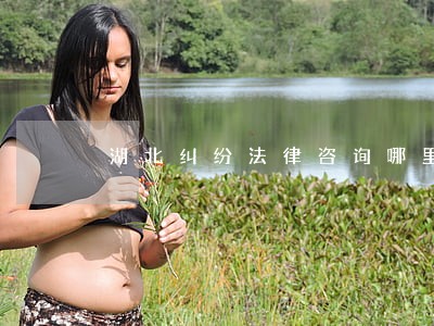湖北纠纷法律咨询哪里有
