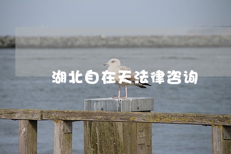 湖北自在天法律咨询 湖北自在天法律咨询