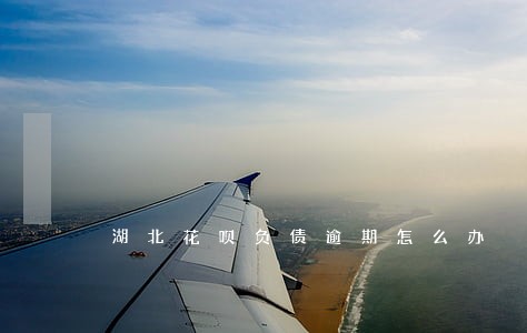湖北花呗负债逾期怎么办 湖北花呗负债逾期怎么办