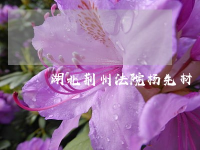 湖北荆州法院杨先材 湖北荆州法院杨先材
