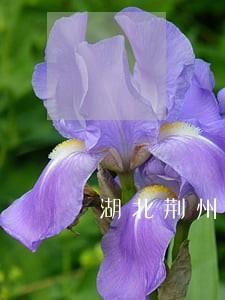 湖北荆州法院老赖 湖北荆州法院老赖