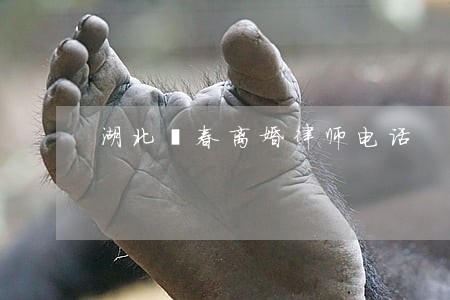 湖北蕲春离婚律师电话