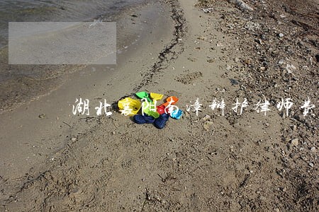 湖北襄阳南漳辩护律师费用咨询 湖北襄阳南漳辩护律师费用咨询
