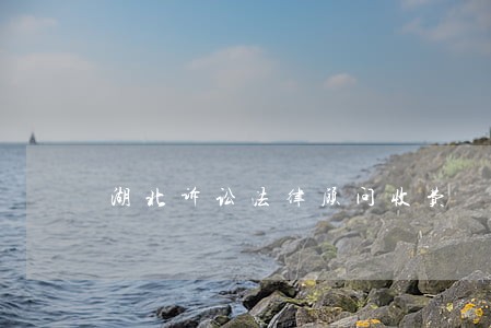 湖北诉讼法律顾问收费 湖北诉讼法律顾问收费