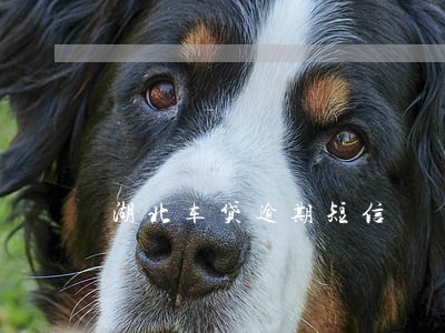 湖北车贷逾期短信 湖北车贷逾期短信