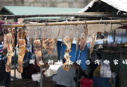 湖北辩护法律咨询哪家好