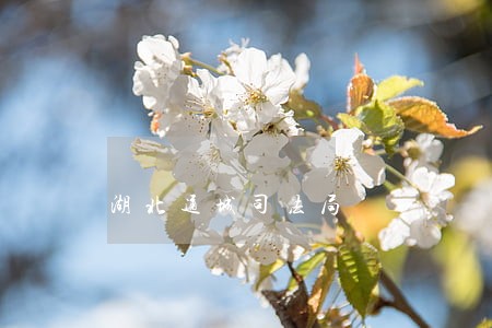 湖北通城司法局