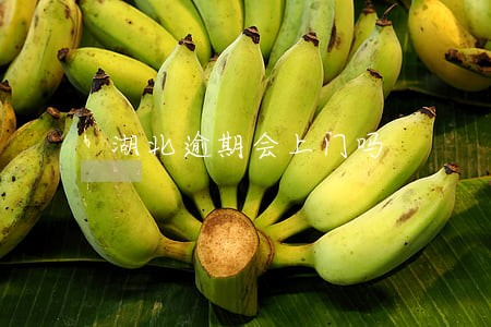 湖北逾期会上门吗