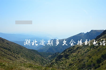 湖北逾期多久会接到电话 湖北逾期多久会接到电话