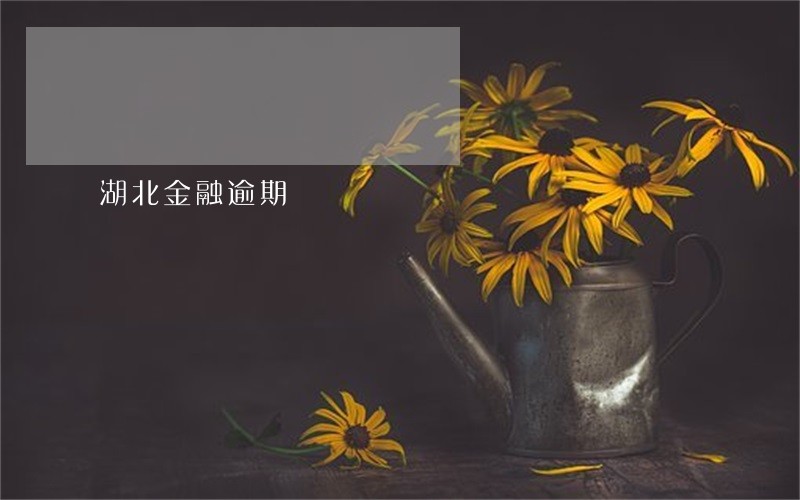 湖北金融逾期 湖北金融逾期