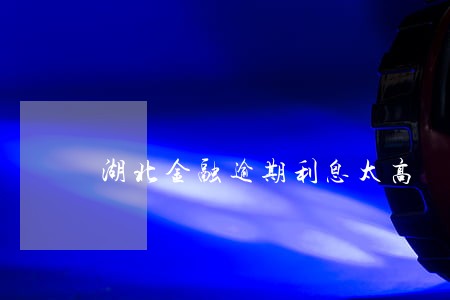 湖北金融逾期利息太高