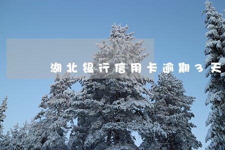 湖北银行信用卡逾期3天 湖北银行信用卡逾期3天
