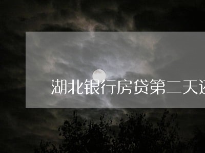 湖北银行房贷第二天还款逾期 湖北银行房贷第二天还款逾期