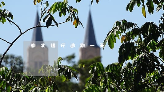 湖北银行逾期一天 湖北银行逾期一天