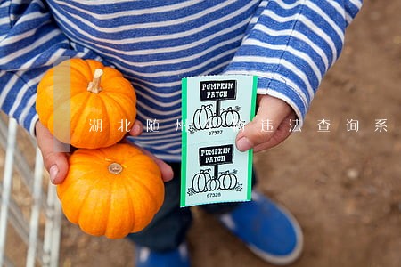 湖北随州车辆违法查询系统 湖北随州车辆违法查询系统