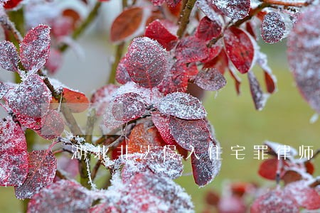 湖北非法侵入住宅罪律师推荐