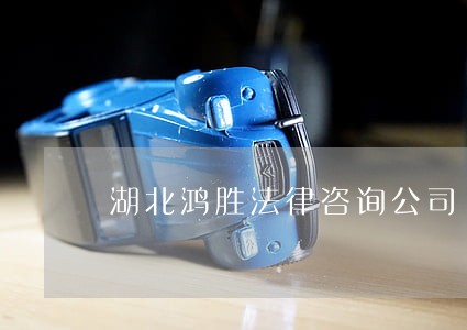 湖北鸿胜法律咨询公司 湖北鸿胜法律咨询公司
