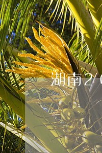 湖南2020初级经济法基础试题 湖南2020初级经济法基础试题