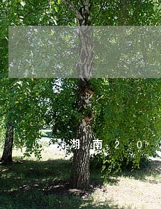 湖南2020考试 湖南2020考试