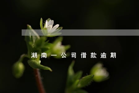 湖南一公司借款逾期 湖南一公司借款逾期