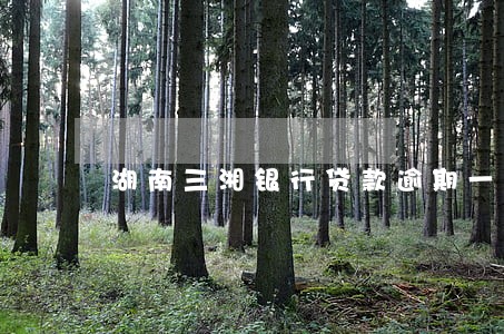 湖南三湘银行贷款逾期一天 湖南三湘银行贷款逾期一天