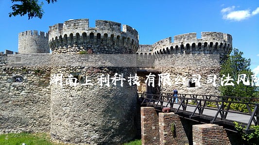 湖南上利科技有限公司司法风险 湖南上利科技有限公司司法风险