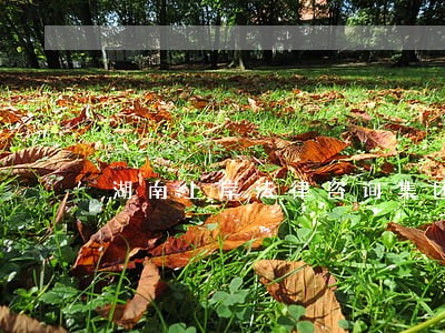 湖南上岸法律咨询集团 湖南上岸法律咨询集团
