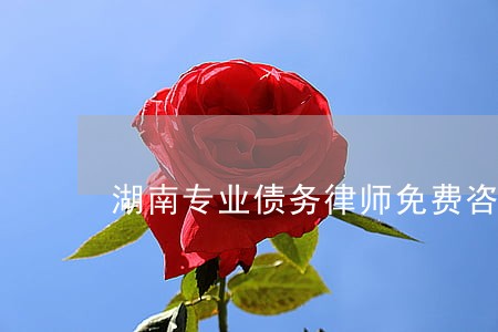 湖南专业债务律师免费咨询 湖南专业债务律师免费咨询