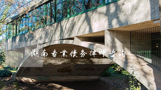 湖南专业债务律师咨询 湖南专业债务律师咨询
