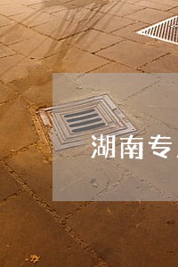 湖南专业债务律师咨询网站