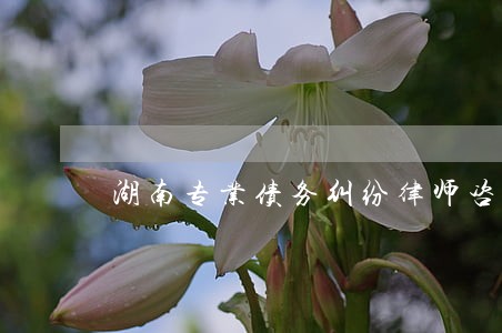 湖南专业债务纠纷律师咨询 湖南专业债务纠纷律师咨询