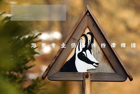 湖南专业债务纠纷律师排名 湖南专业债务纠纷律师排名