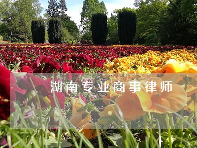 湖南专业商事律师 湖南专业商事律师