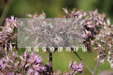 湖南专业律师评审 湖南专业律师评审
