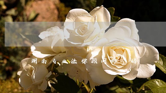 湖南专业法律顾问哪个好 湖南专业法律顾问哪个好