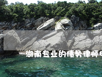 湖南专业的债务律师电话 湖南专业的债务律师电话