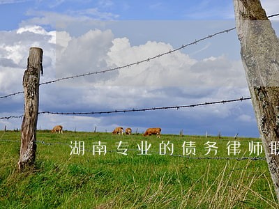 湖南专业的债务律师联系方式 湖南专业的债务律师联系方式
