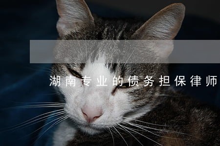 湖南专业的债务担保律师哪个好 湖南专业的债务担保律师哪个好