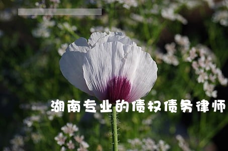 湖南专业的债权债务律师咨询电话 湖南专业的债权债务律师咨询电话