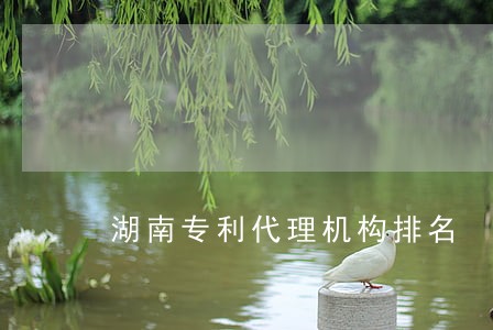 湖南专利代理机构排名 湖南专利代理机构排名