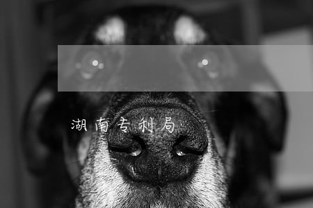 湖南专利局 湖南专利局