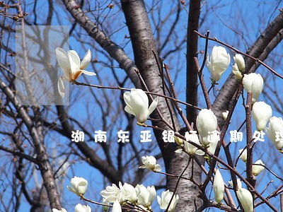 湖南东亚银行逾期处理方法 湖南东亚银行逾期处理方法